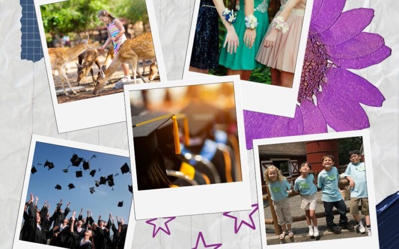 Collage of images